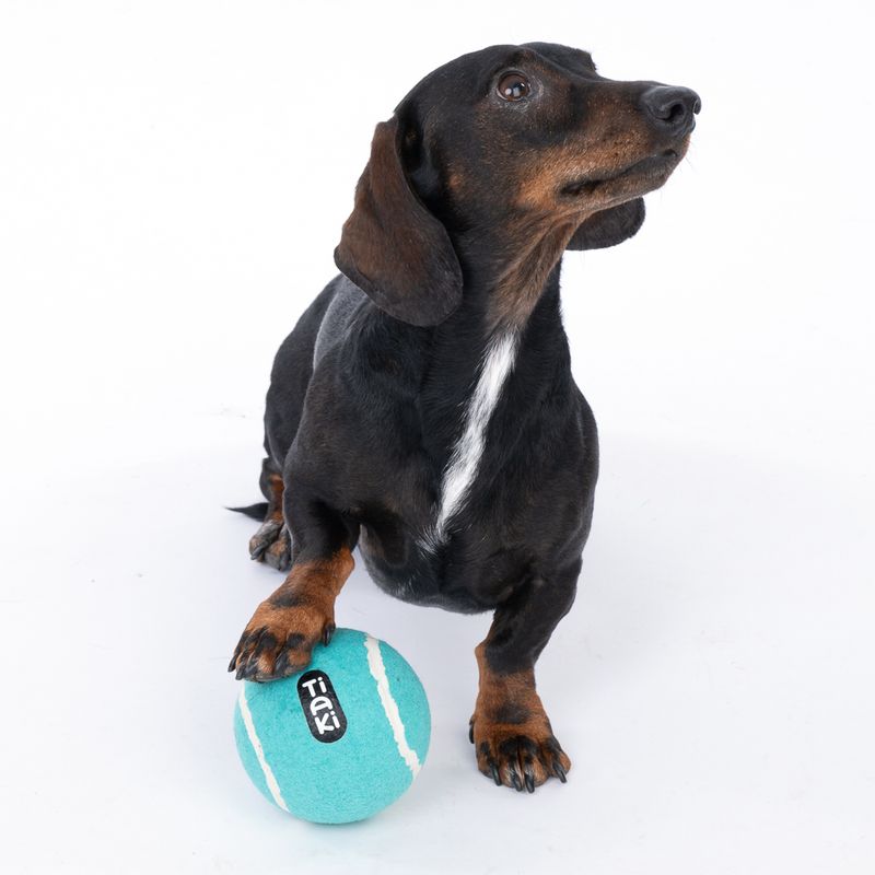 TIAKI medium-sized tennis ball approx. Ø 10 cm