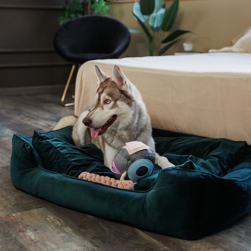 Modern Living Tarifa Dog Toy 4 x 24.5cm (diameter x L)