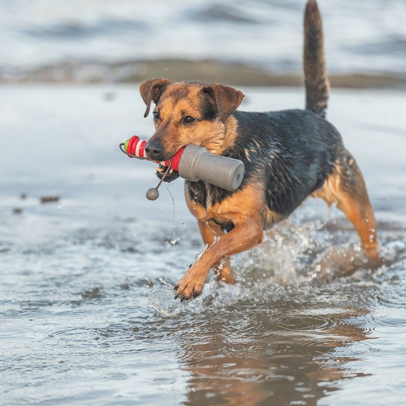 Trixie Lighthouse Water Toy 6 x 20cm (diameter x H)
