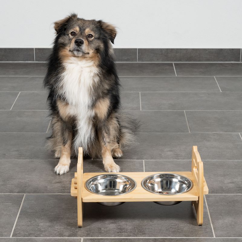 Modern Living Ubud Double Bowl with Bamboo Stand 550ml