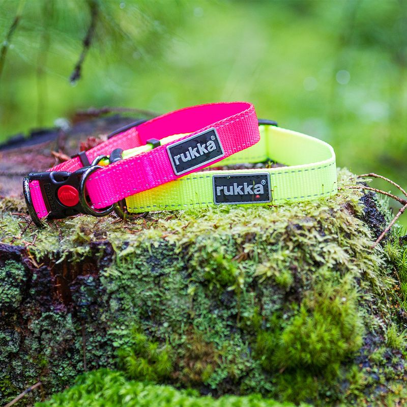 Rukka® Set: Bliss Neon Collar & Leash Collar size M + leash 200 cm / 20 mm
