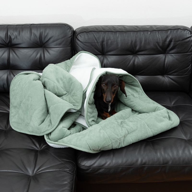 Modern Living Dog Blanket Victoria L 140 x W 125 cm