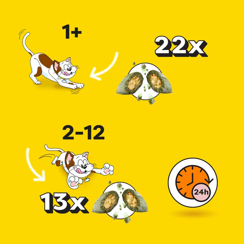 Dreamies ShakeUps with Multivitamins Snacks Rockin' Roost (55g)