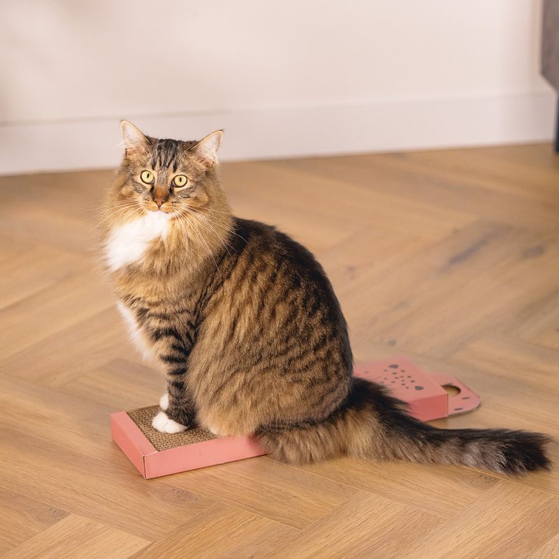 Beeztees Leopard Scratching Board 45 x 13 x 2 cm (L x W x H)