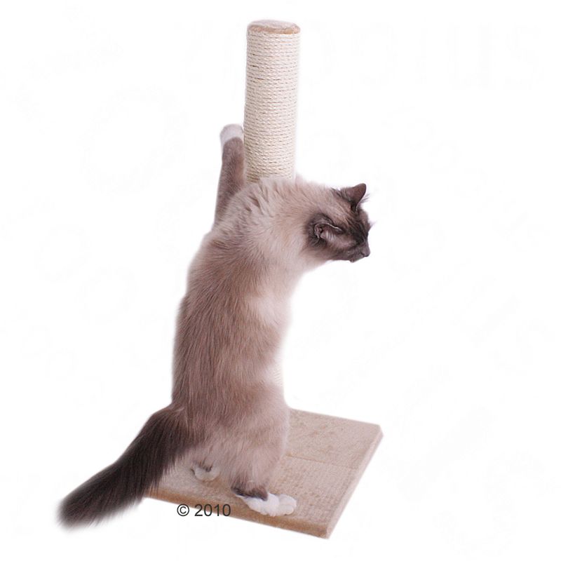 Olga Cat Scratching Post Beige