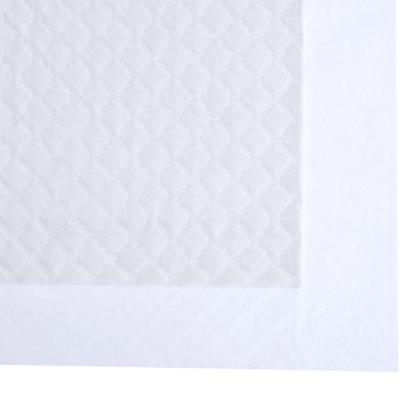 zooplus Basics Training Pads for Puppies 48 x 48 cm (L x W), 50 Pads