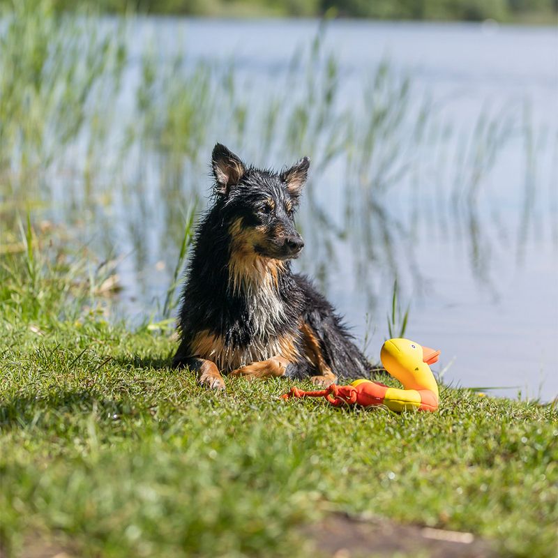 Trixie Duck on a Rope Aqua Toy 36 x 20 x 14cm (L x W x H)