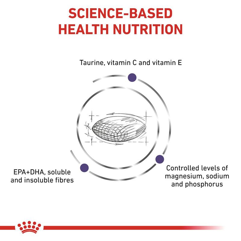 Royal Canin Expert Feline Adult 8kg