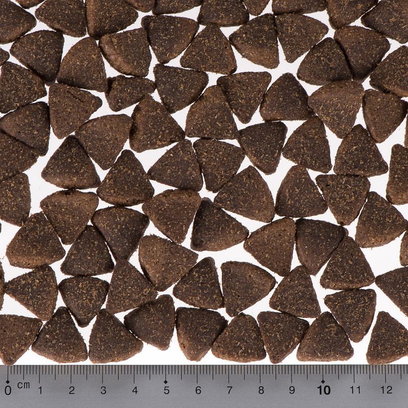 Briantos Adult Active 14kg