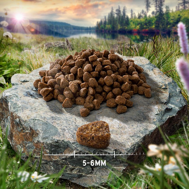 Purizon Kitten Grain-Free Chicken & Fish 150g