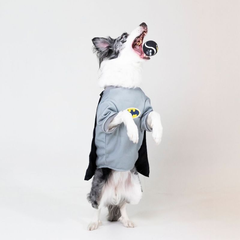 Warner Bros™ DC Batman Tennis Ball Set Set of 4 (each diameter 6.3cm)