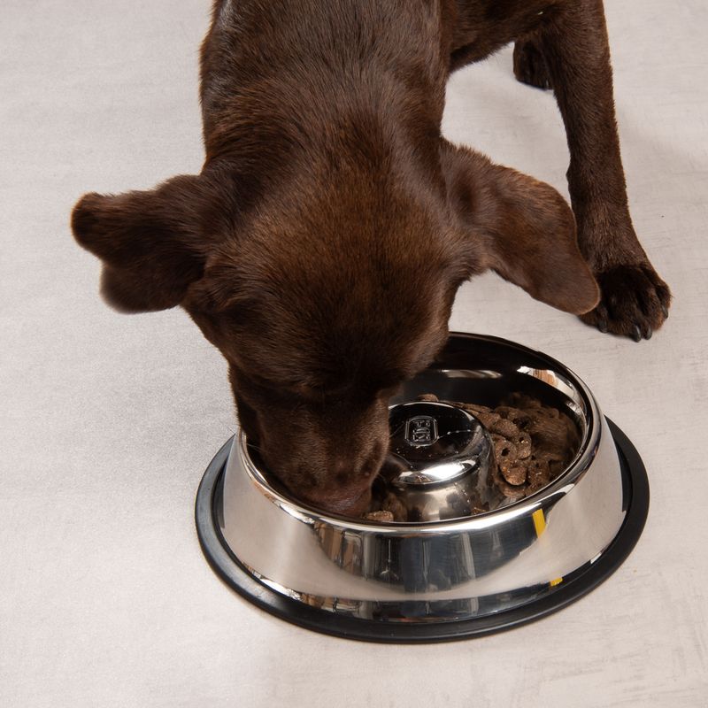 TIAKI Silvered Slow-Feeding Bowl 570ml (24.5cm diameter)