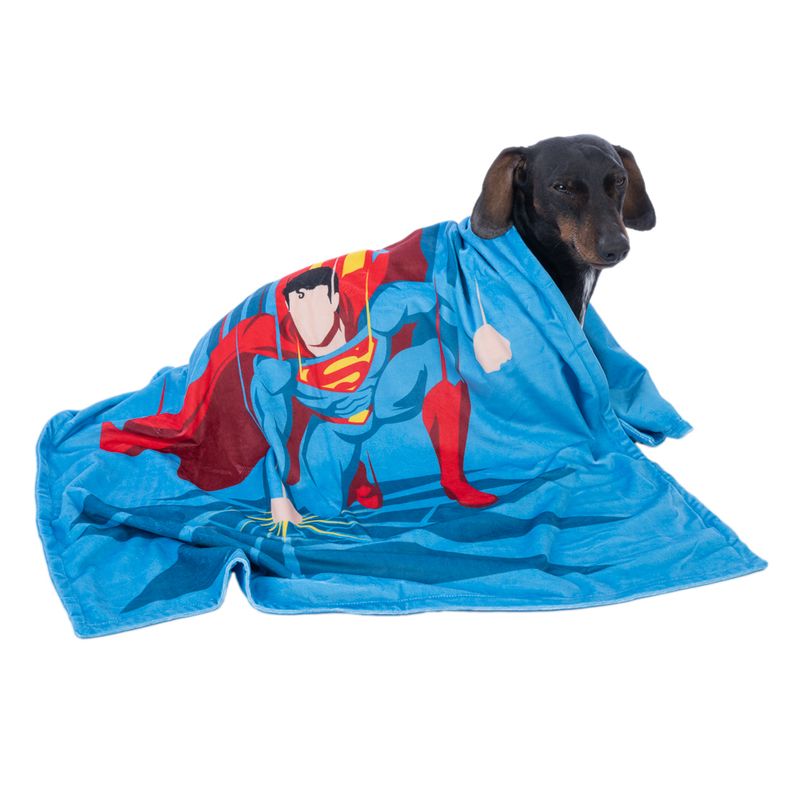 Warner Bros™ DC Superman Pet Blanket 100 x 70 cm (L x W)