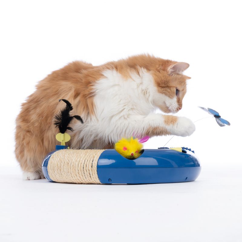 TIAKI Interactive Circuit Cat Toy 1 Toy