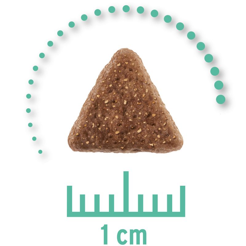 Concept for Life Veterinary Diet Economy Pack 2 x 10kg Hypoallergenic Insect (2 x 10kg)