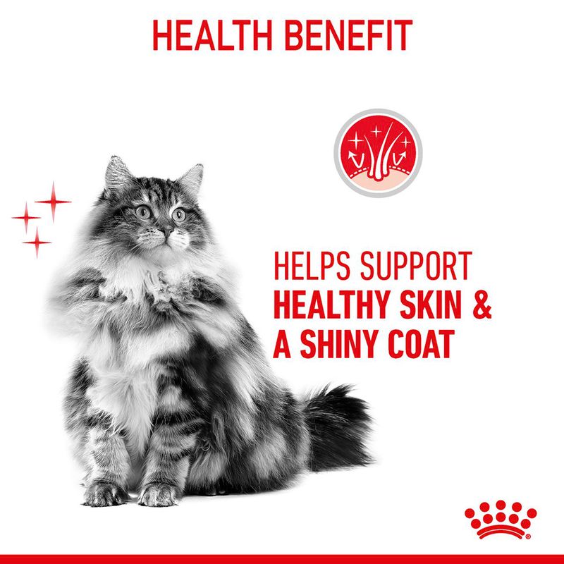 Royal Canin Hair & Skin Care 400g