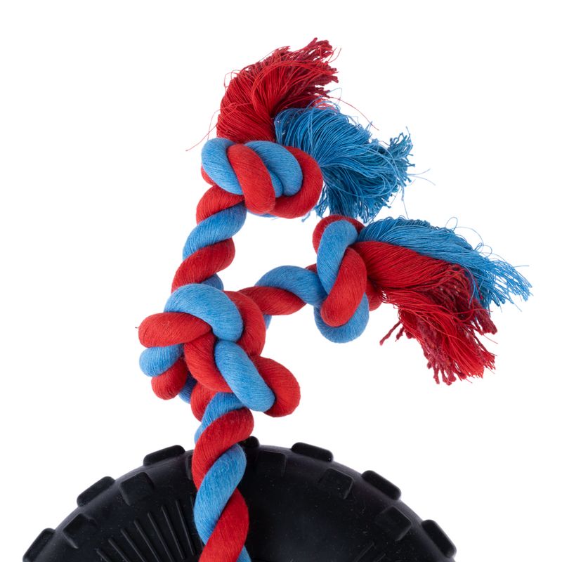 TIAKI Rubber Tyre with Rope 1 Toy