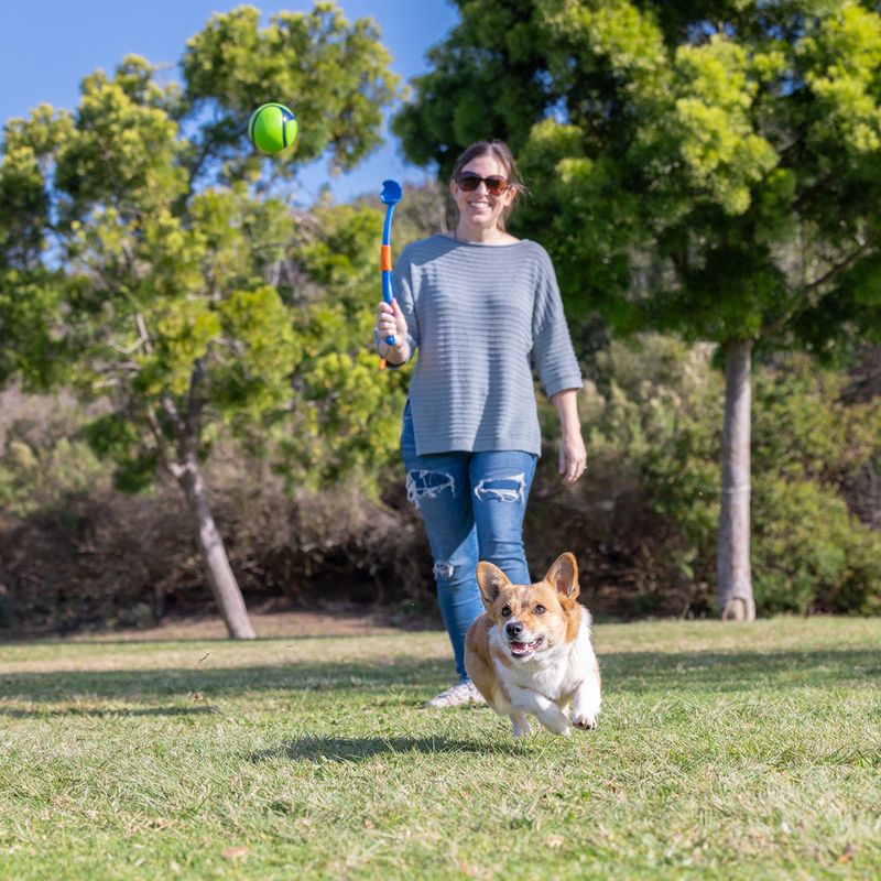 Chuckit! Sniff Fetch Balls Canister 4 balls, 6.5cm (W)