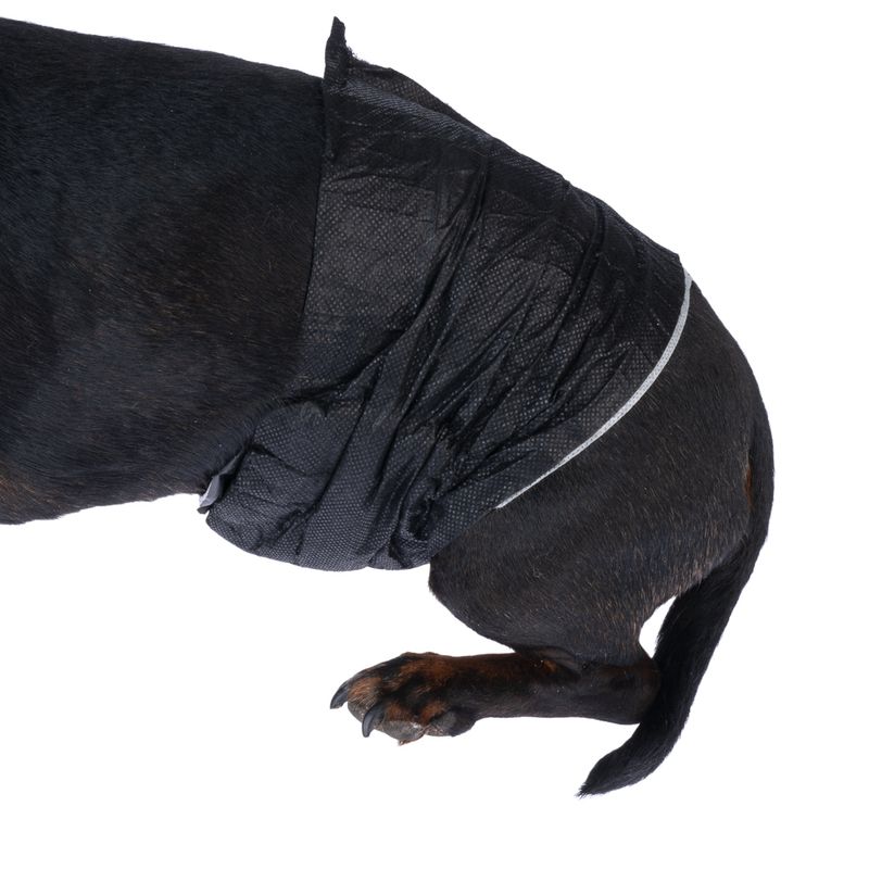 kooa Male Diapers with Bamboo Size XS: 20 - 26 cm, 12 Nappies