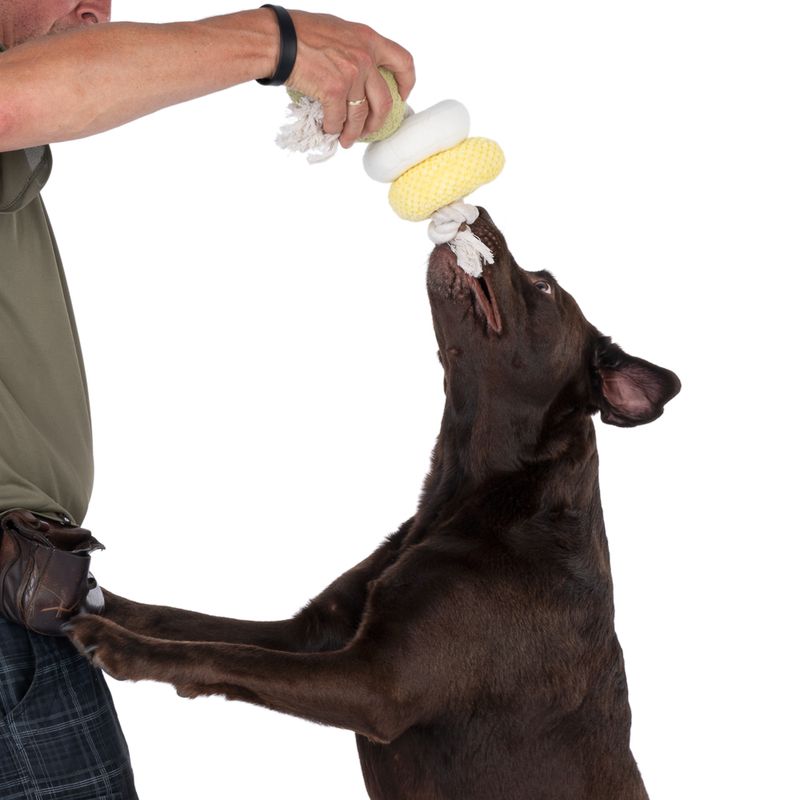 Modern Living Dalian Dog Toy with Rope 12 x 33cm (diameter x L)