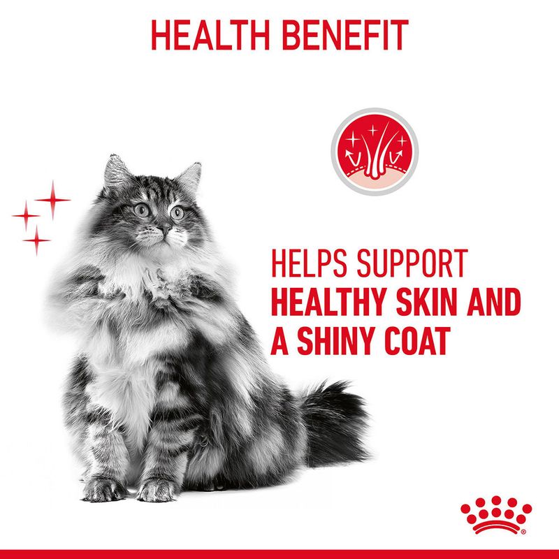 Royal Canin Hair & Skin Care in Gravy 12 x 85g