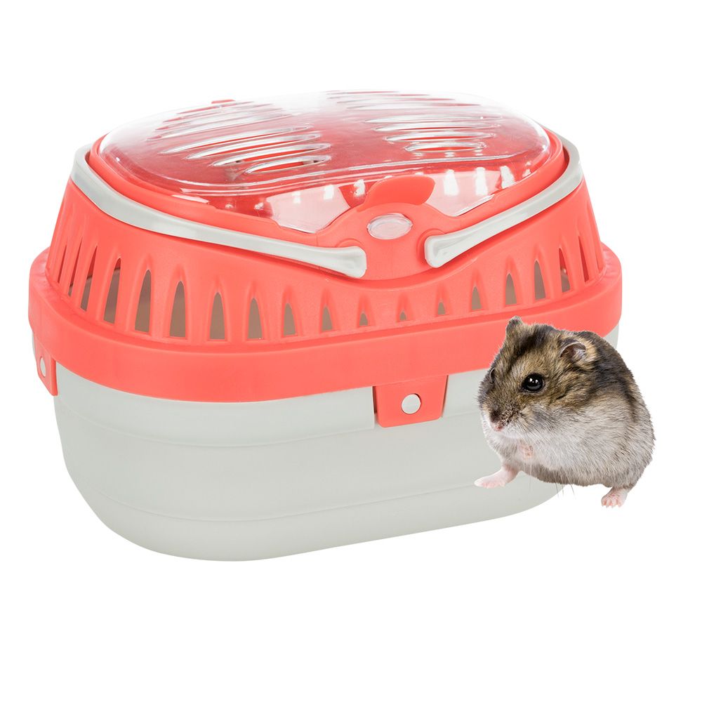 Trixie Pico Transport Box for Small Pets approx. 23 x 16 x 17 cm (L x W x H)