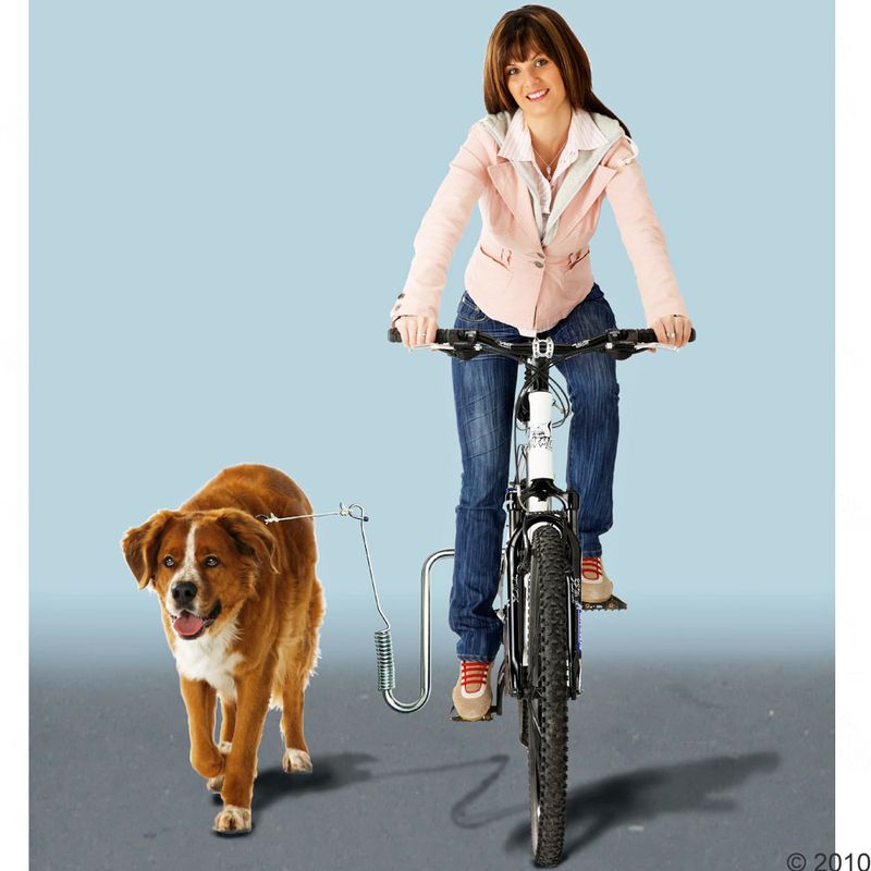 DogRunner Cycle Mount Cycle mount