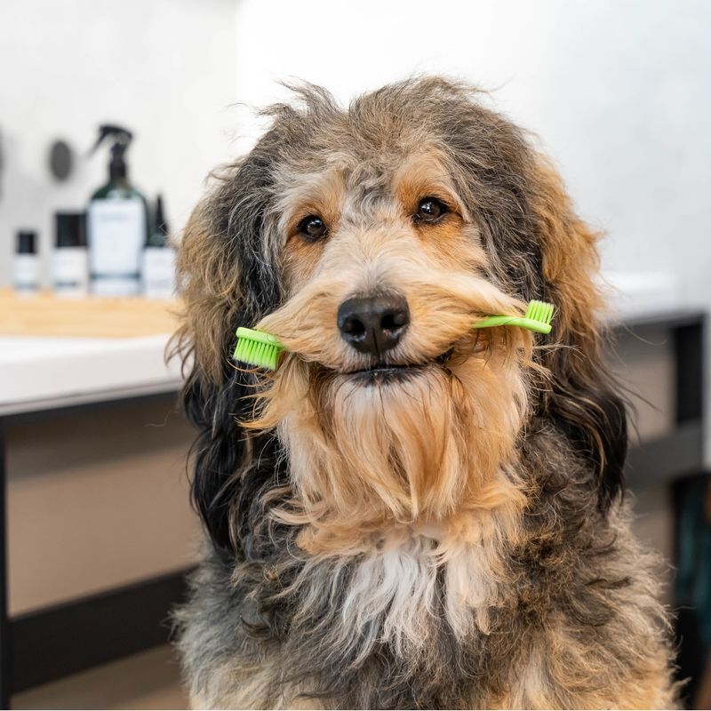 kooa Dental Care Set Toothbrush, Silicone Finger Cot, Vegan Tooth Gel (50ml)