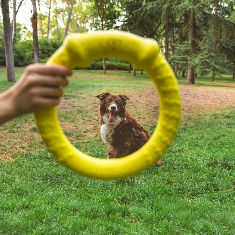 Nomad Tales Bloom Fitness Ring Size S: approx. Ø 18 cm