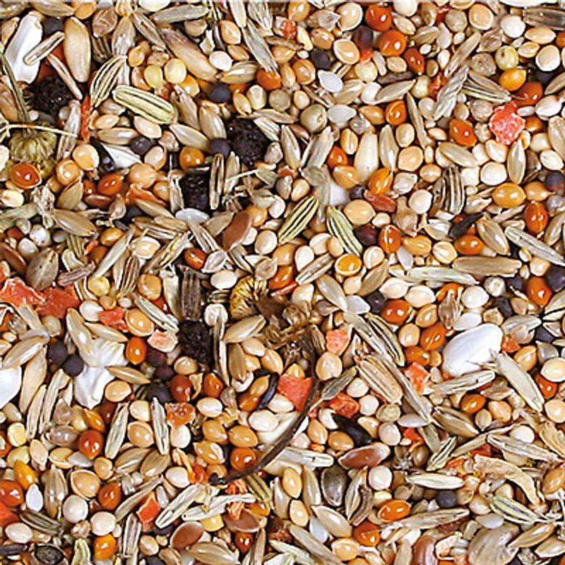 JR Birds Individual Cockatiel Food 1kg