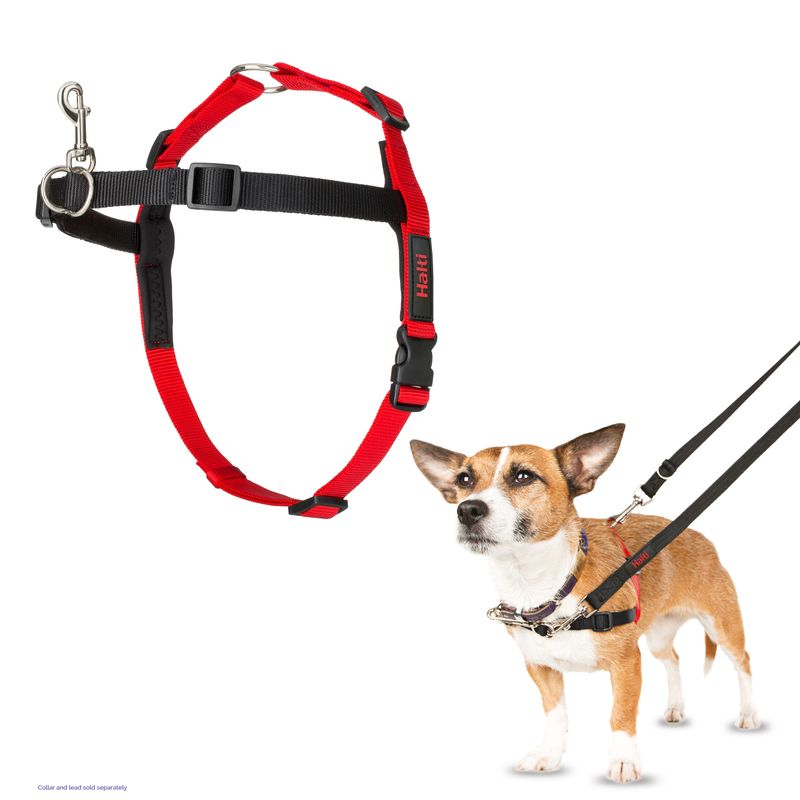 Halti Front Control Training Harness Size S: chest circumference 36 - 64cm