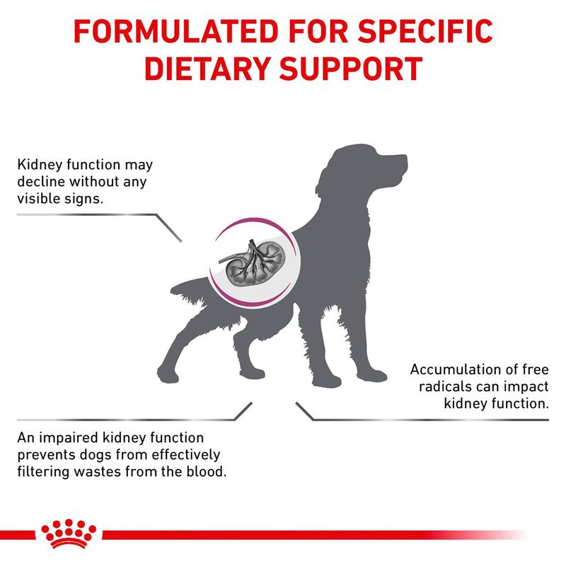 Royal Canin Veterinary Canine Early Renal 7kg