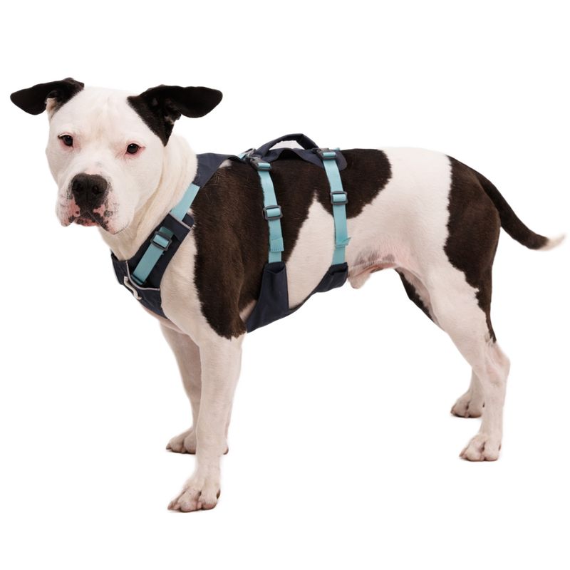 Ruffwear Flagline Dog Harness - Basalt Grey Size S: 56 - 69cm Chest Circumferance