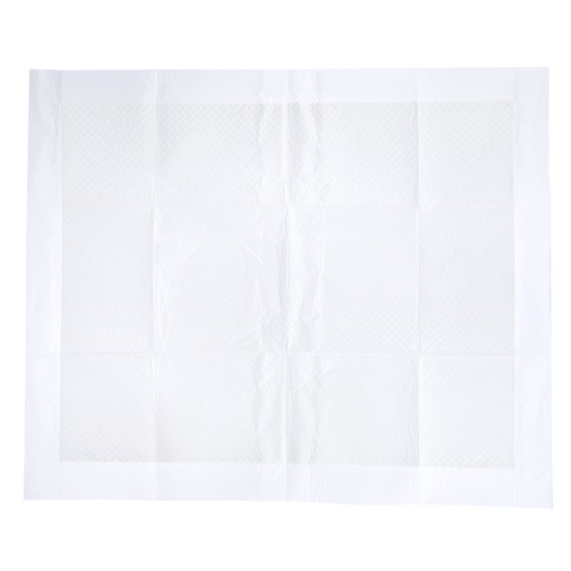 zooplus Basics Training Pads for Puppies 48 x 48 cm (L x W), 50 Pads