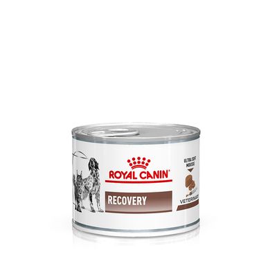 Royal Canin Veterinary Dog & Cat – Recovery Mousse 12 x 195g