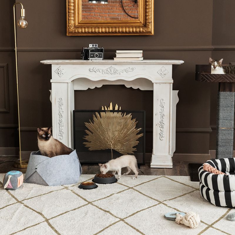 Raleigh Scratching Tree Grey