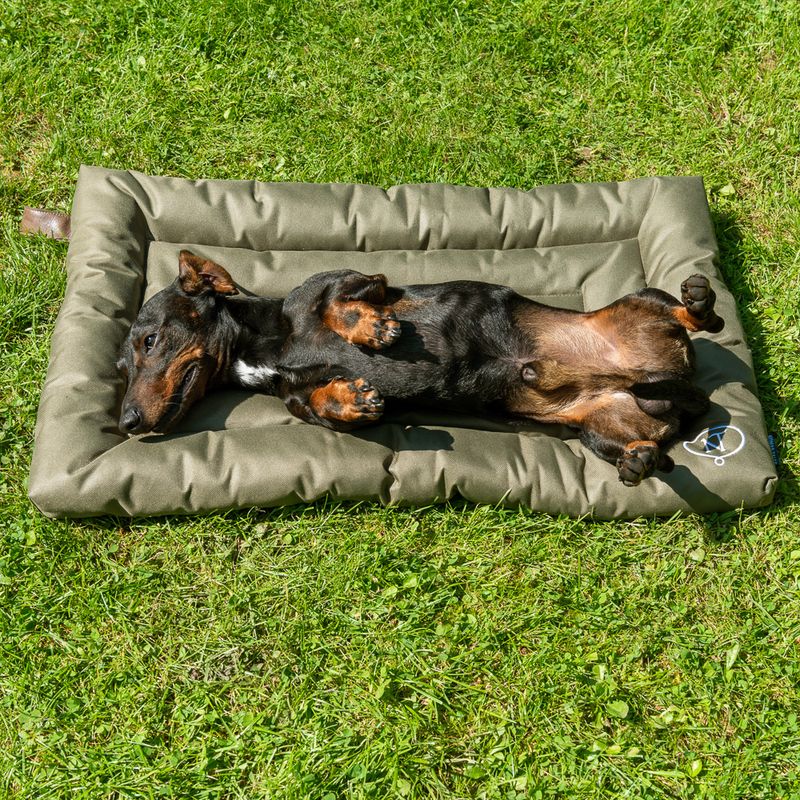 Nomad Tales Spirit Outdoor Dog Cushion Pine 74 x 46 x 7 cm (L x W x H)