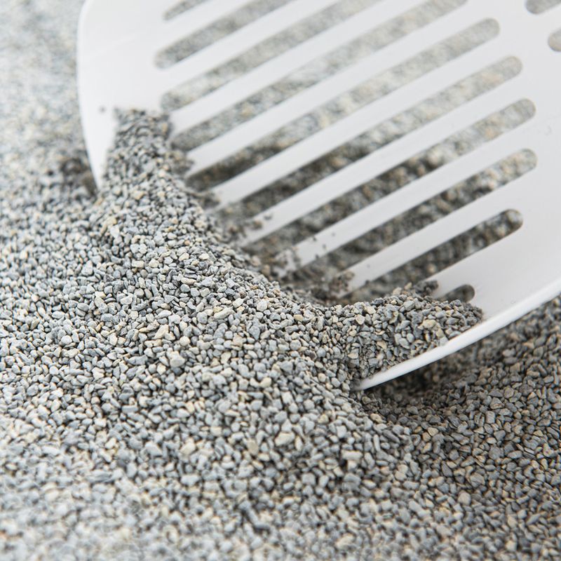 ODOURLOCK Unscented Cat Litter 12kg