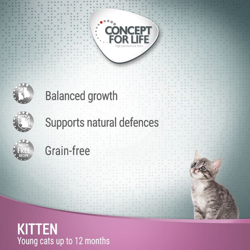 Concept for Life Kitten Salmon Grain-Free - in Gravy 12 x 85g
