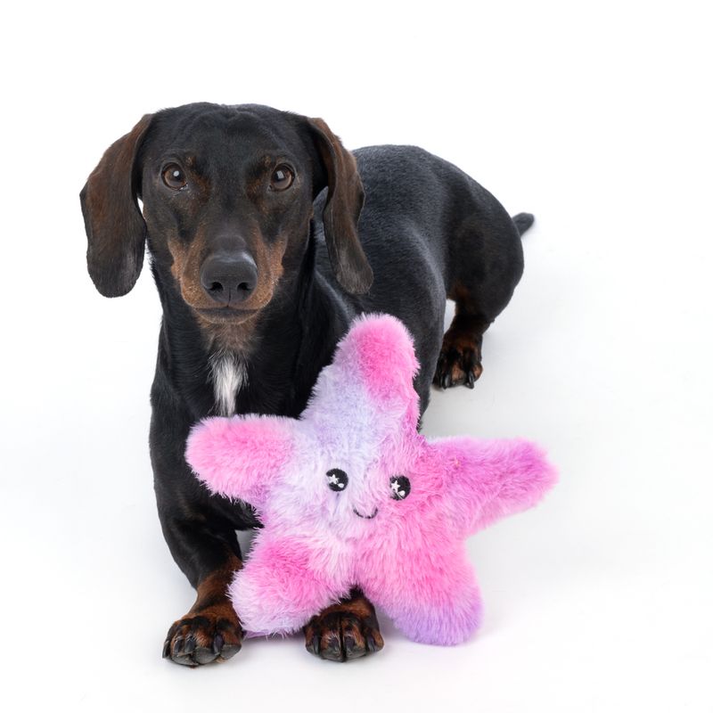 TIAKI Starfish Fantasy Plush Toy 18 x 15 x 5 cm (L x W x H)