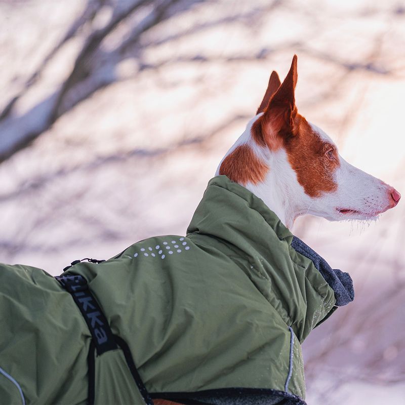 Rukka® Warmup Dog Coat - Olive approx. 80cm back length
