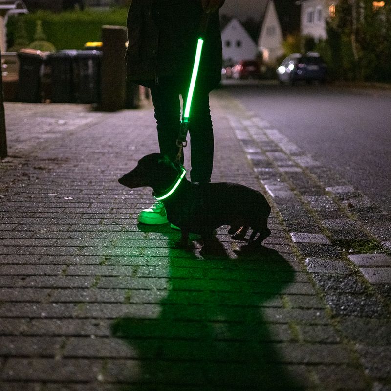 Nomad Tales Spirit USB LED Nylon Collar - Neon Yellow & Grey Size S/M: Neck circumference 35-50cm