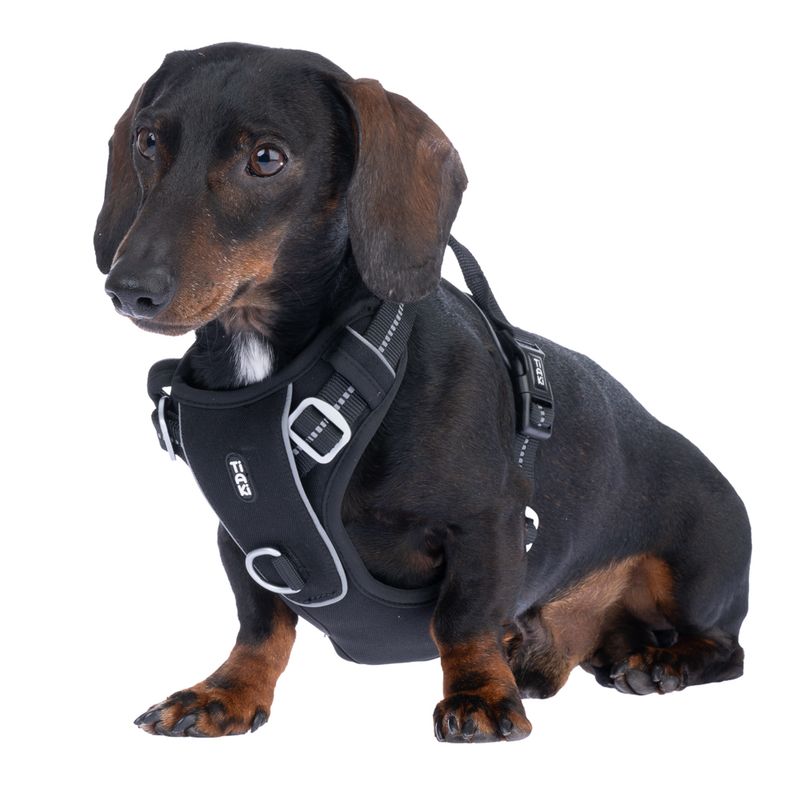 TIAKI Perfect Fit Harness Size S: 48 - 61 cm Chest Circumference