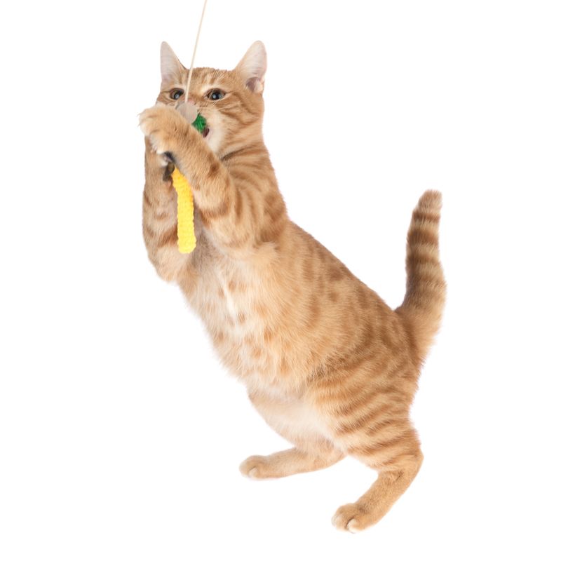 TIAKI Dragonfly Cat Dangler Toy with LED Pointer 1 Dangler Toy