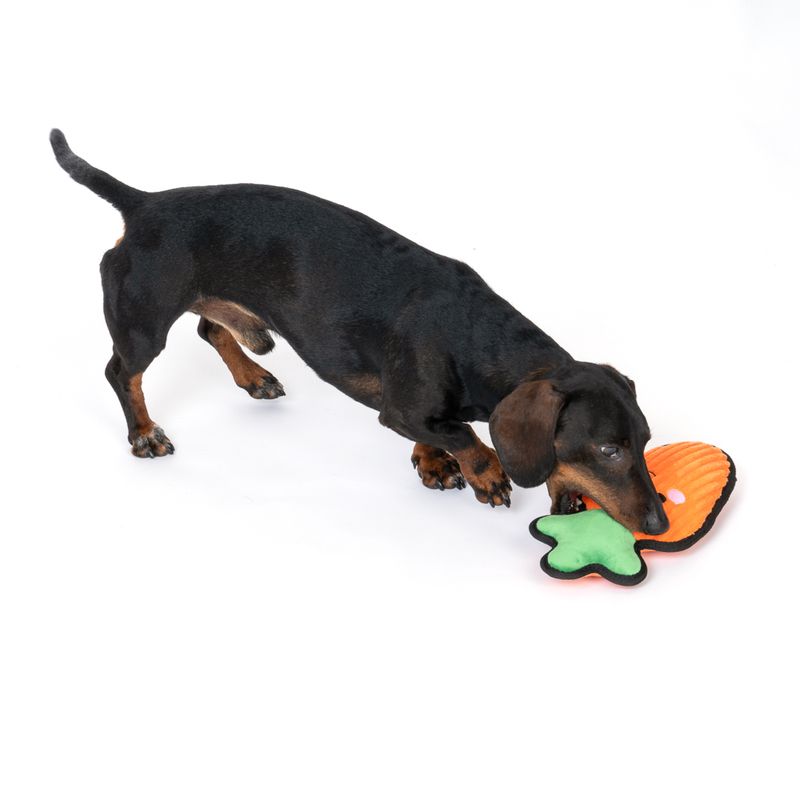 TIAKI Happy Carrot Tough Dog Toy 29 x 14 x 6.5cm (L x W x H)