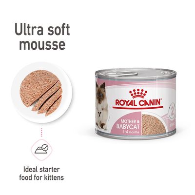 Royal Canin Mother & Babycat Ultra Soft Mousse 12 x 195g