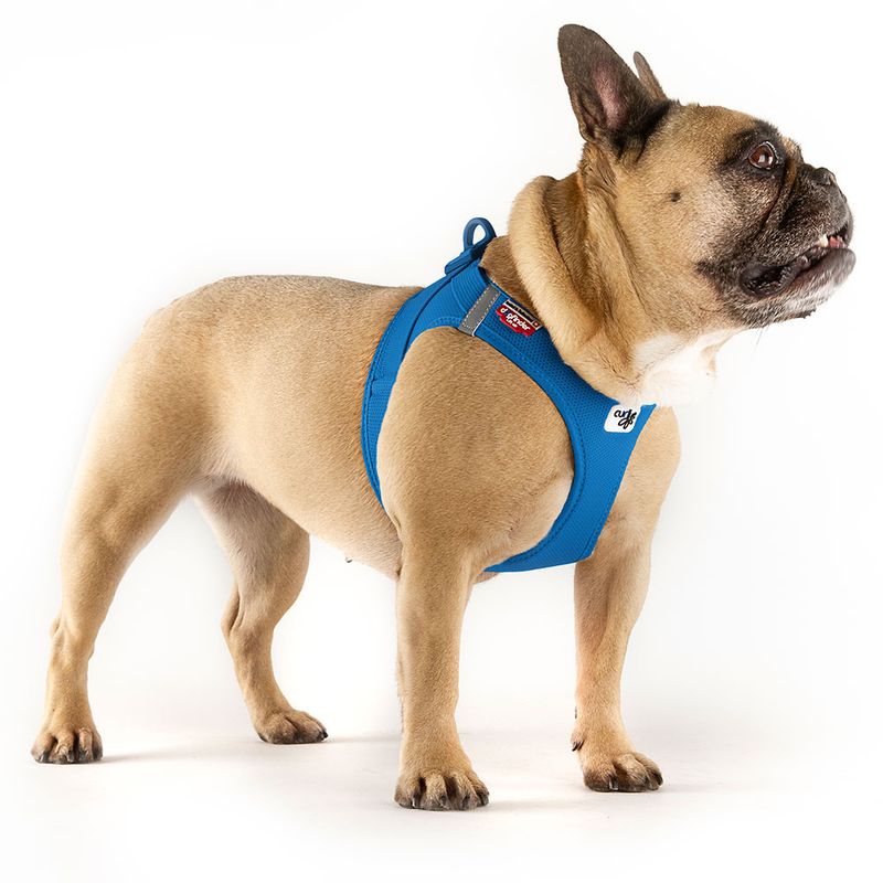 Curli Vest Harness Clasp Air-Mesh, blue Size 2XS: Chest measurement 30.2 - 33.8 cm