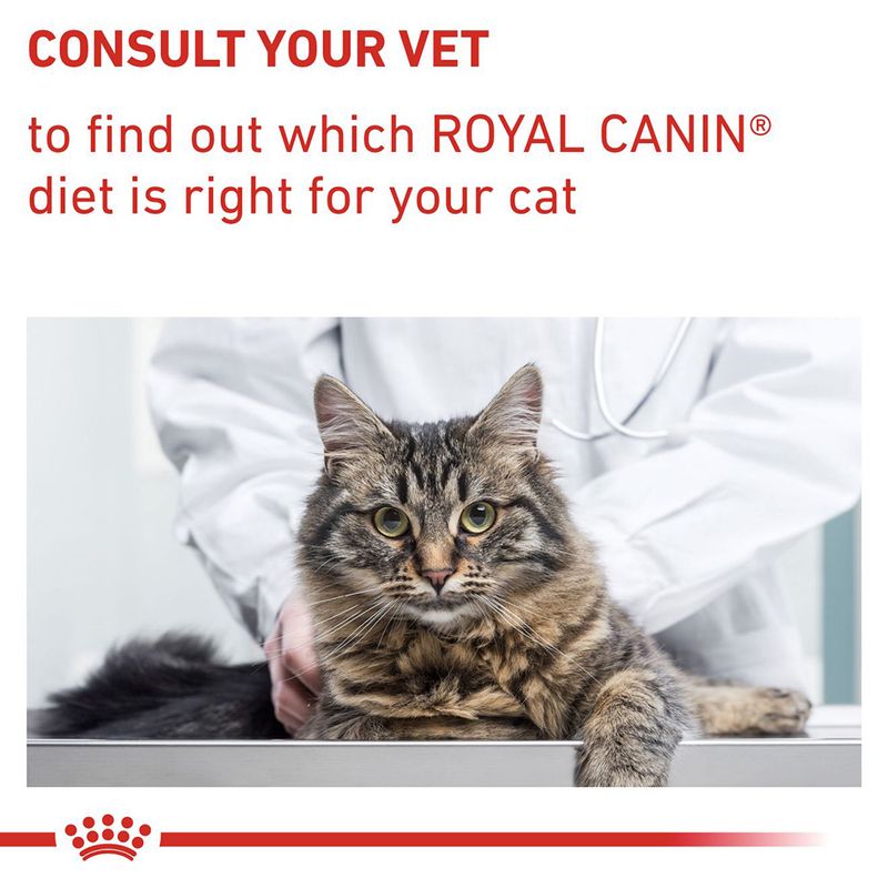 Royal Canin Expert Feline - Mature Consult 10kg