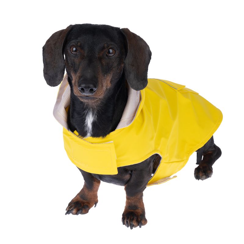zooplus Basics Raincoat approx. 30cm Back Length
