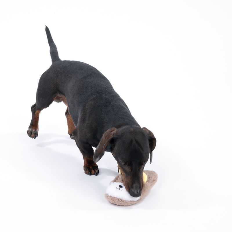 TIAKI Rabbit Slipper Dog Toy 1 Toy